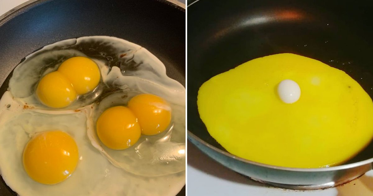 6 52.jpg?resize=1200,630 - 트위터에서 유행하고 있는 '가장 특이한 계란' 찾기, TOP 15