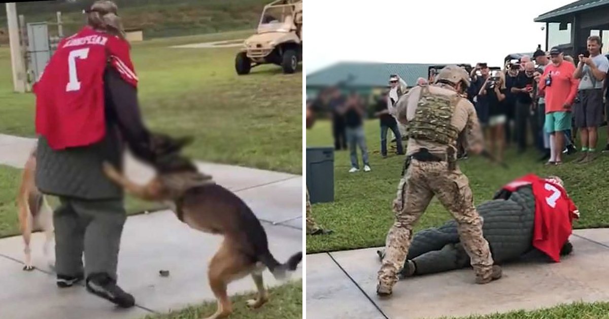 attack.jpg?resize=412,232 - Navy SEALs Probe Video Of Military Dogs Attacking 'Target' Clad In Kaepernick Jersey