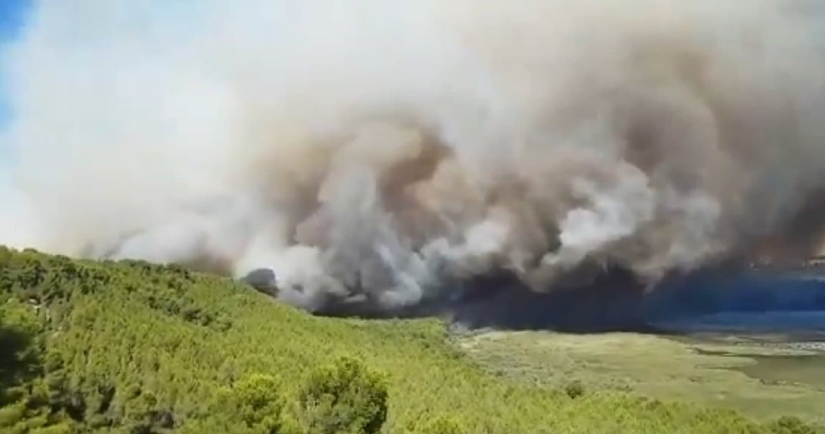 bdr.jpg?resize=1200,630 - Bouches-du-Rhône: un gros incendie est en cours près d'Istres et a déjà ravagé 450 hectares