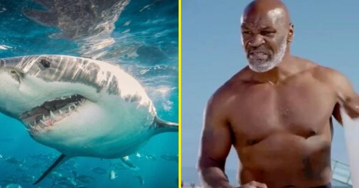 blasting news e1597679909693.jpg?resize=1200,630 - Mike Tyson contre un requin : Le combat sera diffusé en France