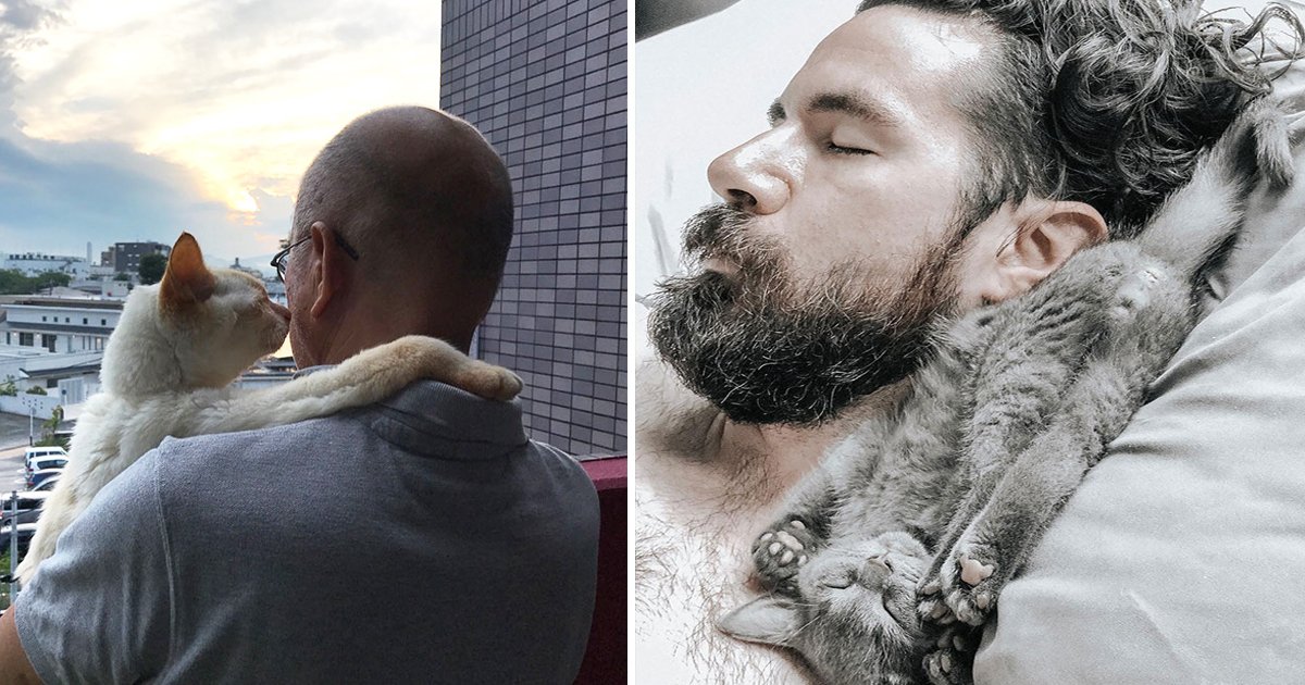 cat dads.jpg?resize=1200,630 - These Cat Dads Pictures Will Literally Melt Your Heart
