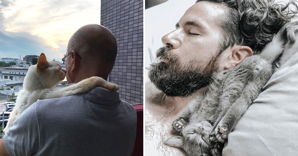 cat dads.jpg?resize=412,275 - These Cat Dads Pictures Will Literally Melt Your Heart