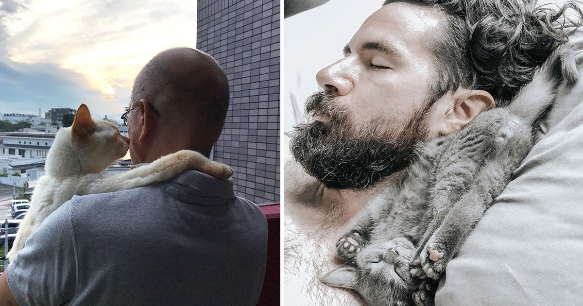 cat dads.jpg?fit=1024%2C538&ssl=1&strip=all - These Cat Dads Pictures Will Literally Melt Your Heart