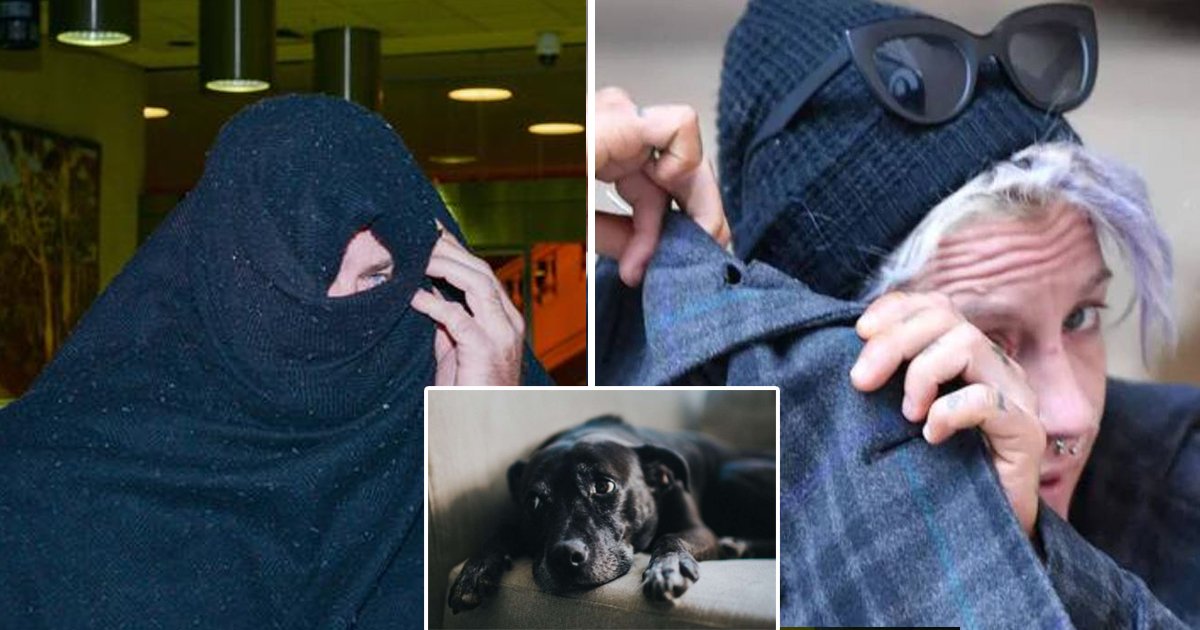 dog 1.jpg?resize=412,275 - Former Couple Sentenced For Filming Sexual Encounters With Pet Dog