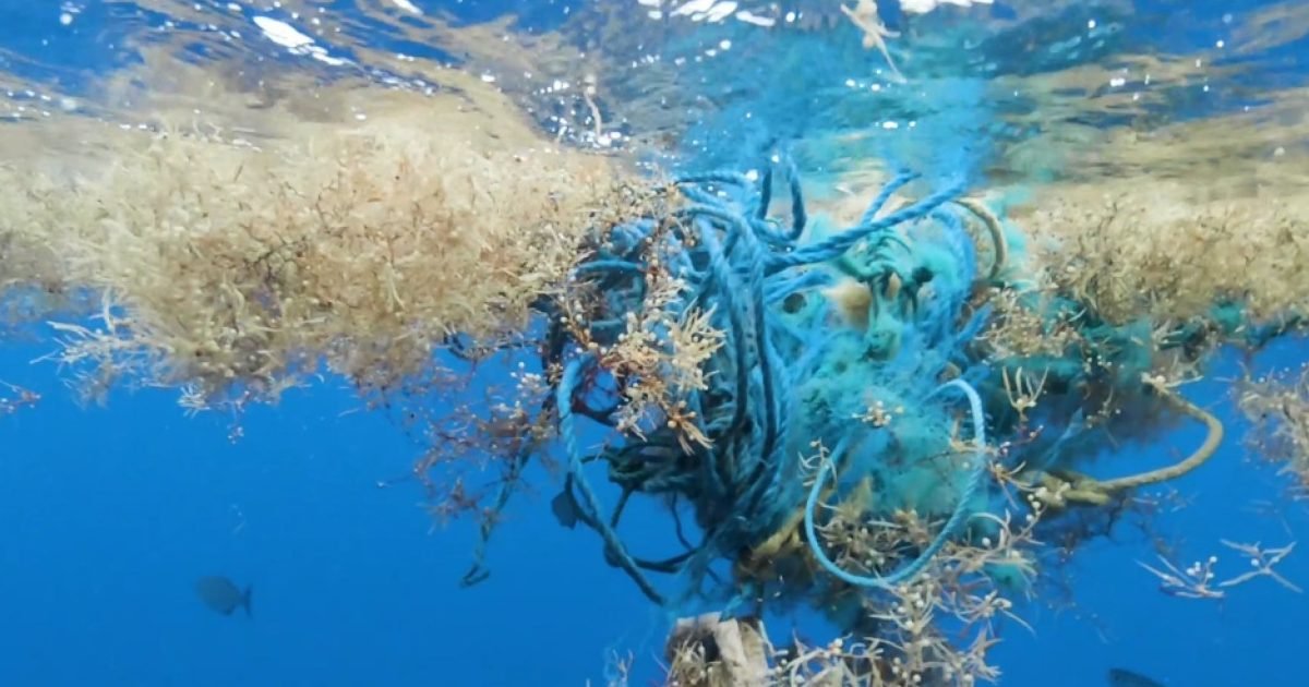 download 9 e1598280685522.jpeg?resize=1200,630 - Pollution : L'océan Atlantique pourrait contenir 21 millions de tonnes de microplastiques