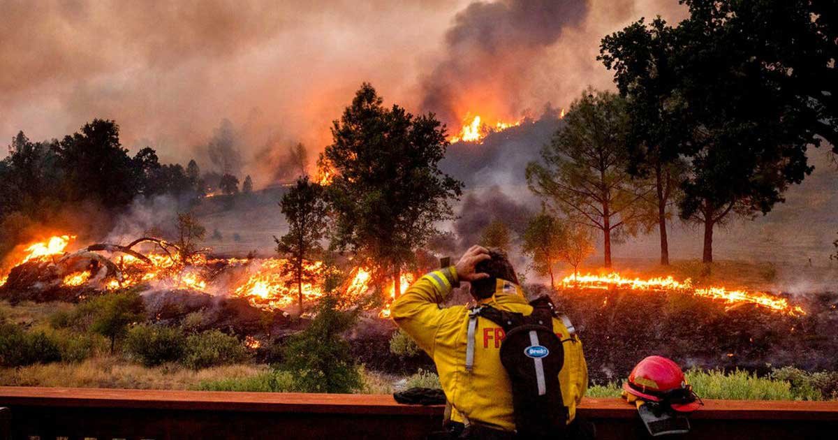 fox.jpg?resize=1200,630 - California Firefighter’s Bank Account Emptied As He Fought Massive Blaze