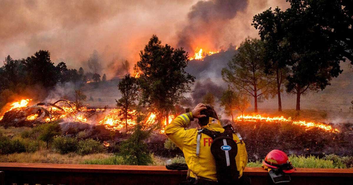 fox.jpg?resize=412,275 - California Firefighter’s Bank Account Emptied As He Fought Massive Blaze