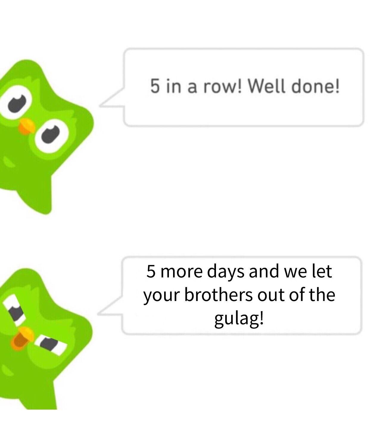 10 Hilarious Duolingo Memes That Give Vengeance A New Name