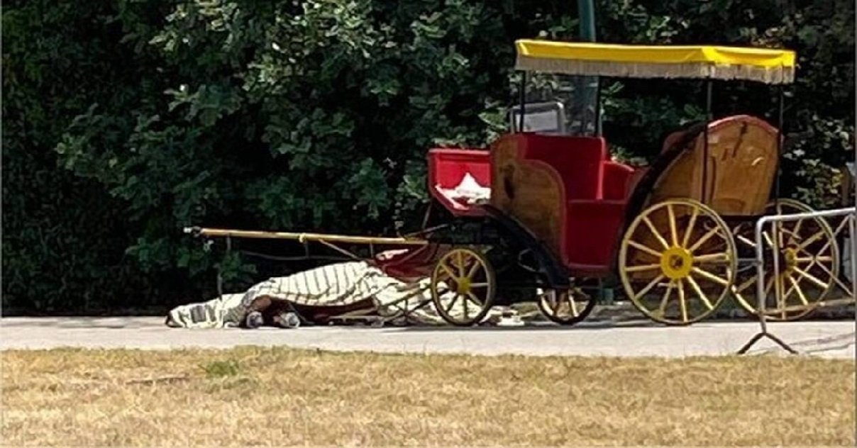 italie.jpg?resize=412,275 - Italie: un cheval qui tirait une calèche avec des touristes sous 36 degrés est mort d'épuisement