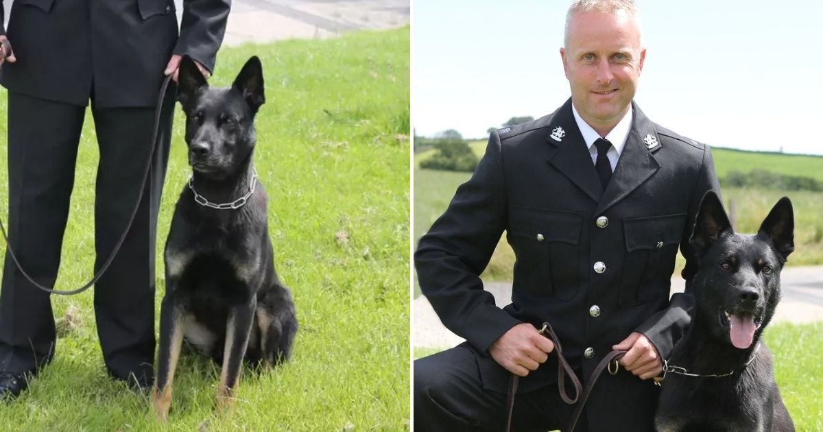max4.jpg?resize=412,275 - Police Dog Finds Missing 1-Year-Old Baby And Mother On His First Day Of Work