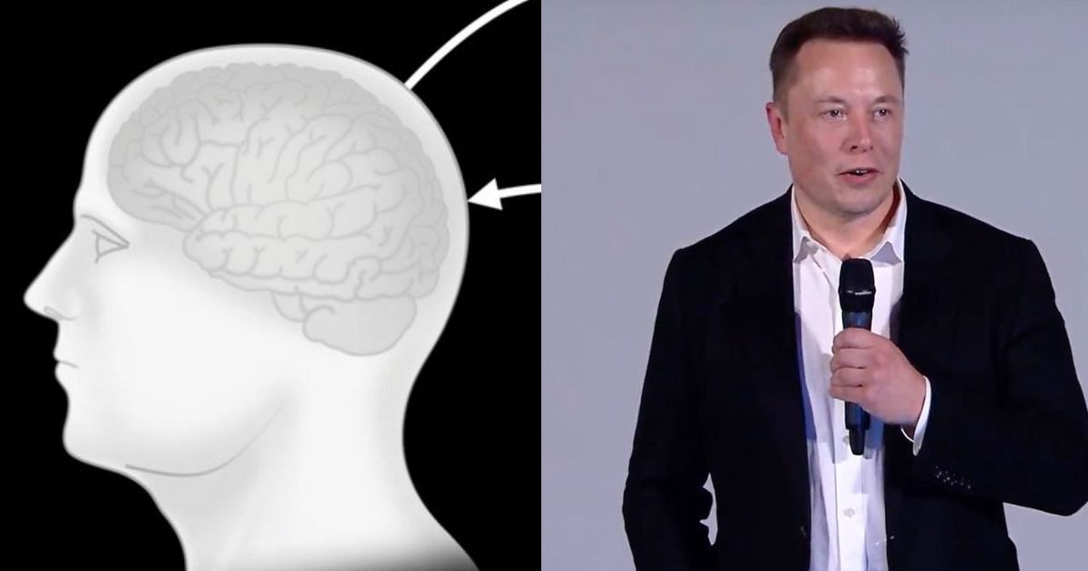 neuralink presentation elon musk e1598487415207.jpg?resize=1200,630 - Neuralink : Elon Musk promet de faire une démonstration ce vendredi