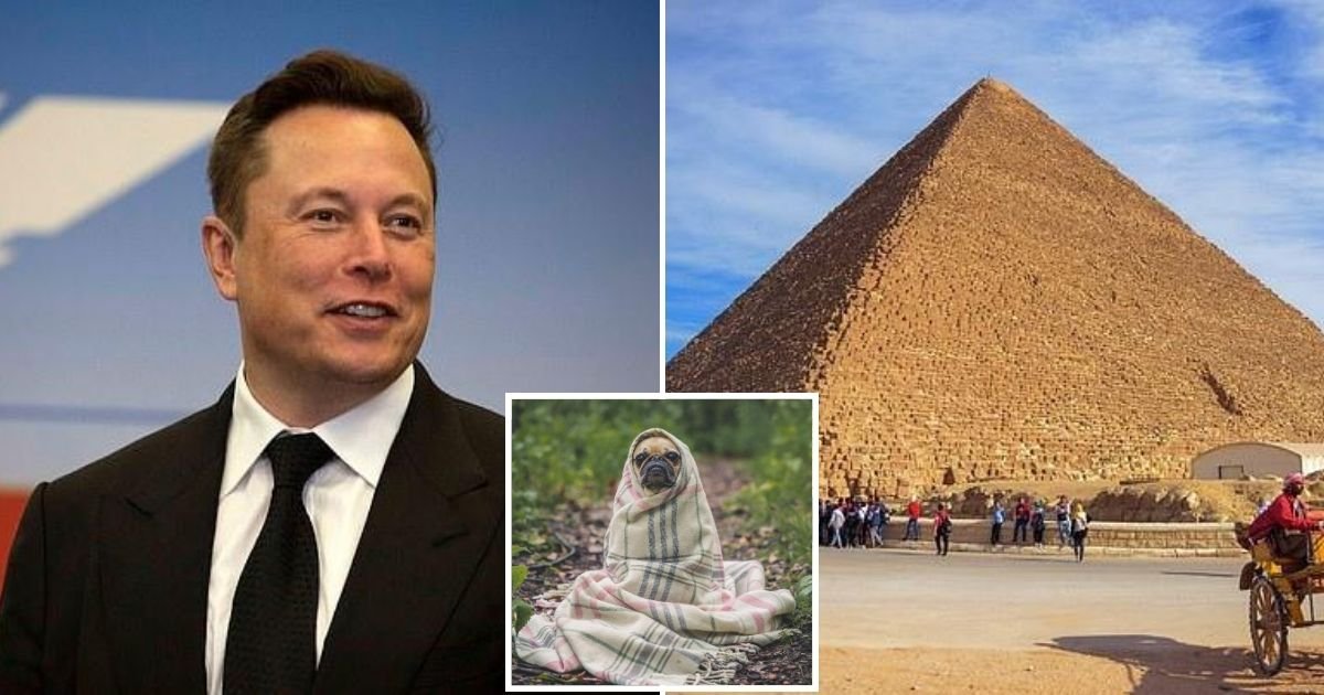 pyramid4.jpg?resize=412,275 - Egypt Invites Elon Musk To See The Great Pyramids After The Billionaire Tweeted An Old Conspiracy Theory