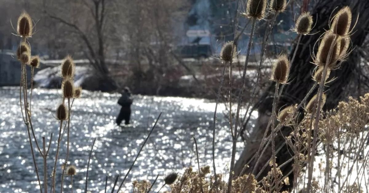 river3.jpg?resize=412,232 - 61-Year-Old Husband Throws Wife In River After Argument Over Dinner