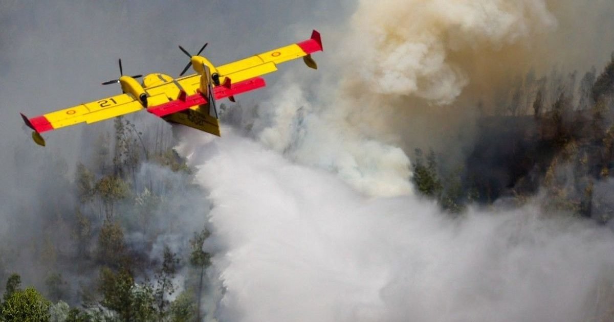 sud ouest e1596900337144.jpg?resize=412,232 - Portugal : Un Canadair s'est écrasé en combattant les flammes