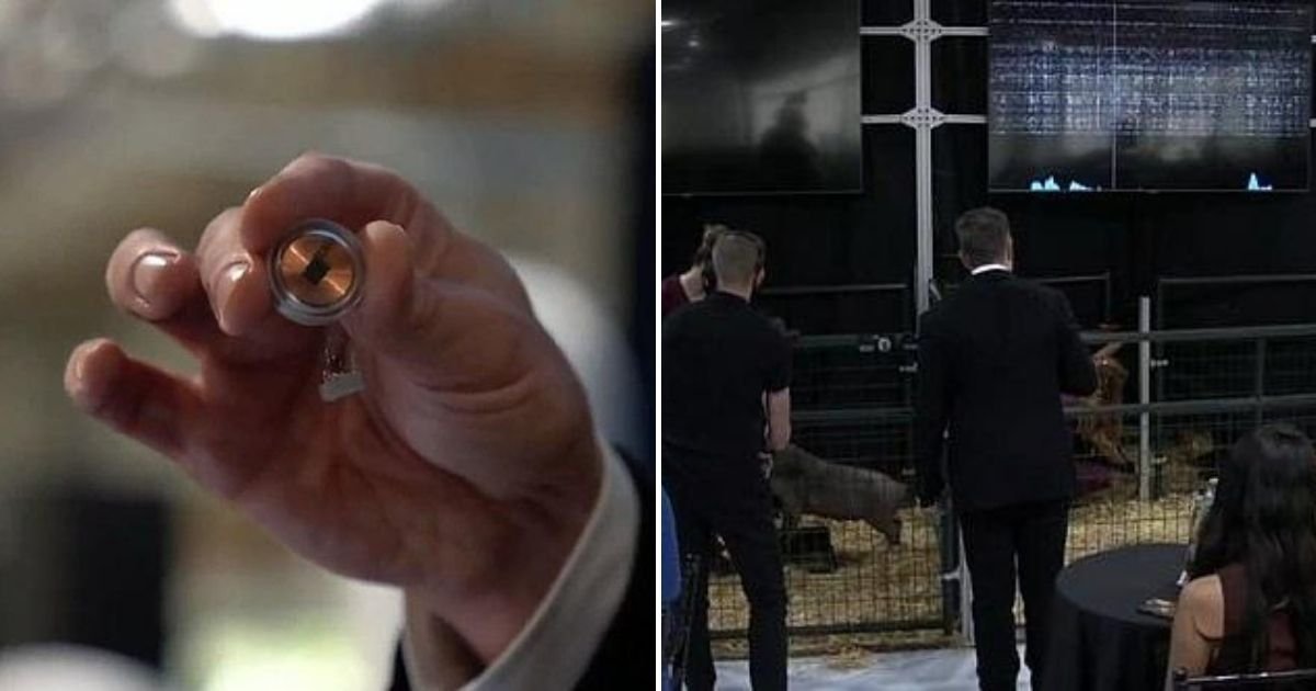 untitled design 38.jpg?resize=412,232 - Elon Musk Shows Off His Neuralink Brain Implant In Live Subjects Demo