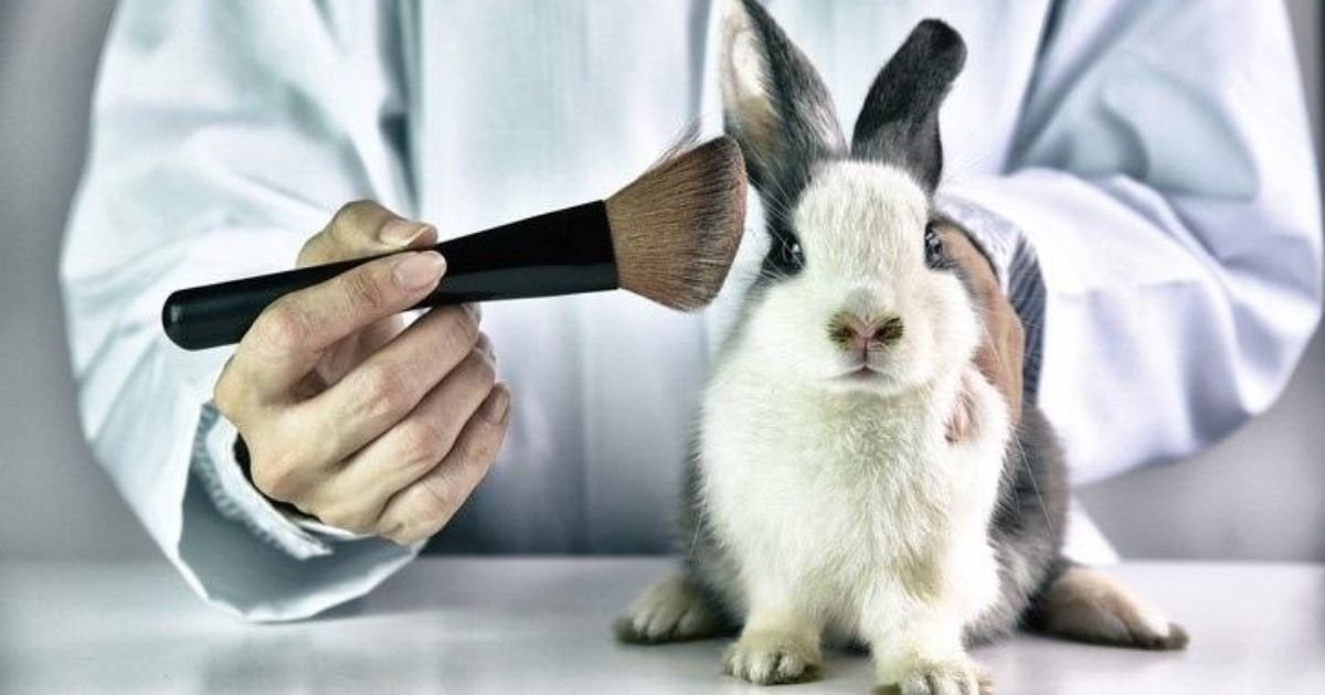 untitled design 40.jpg?resize=412,275 - Officials Rule Chemicals Used In Beauty Products Must Be Tested On Animals