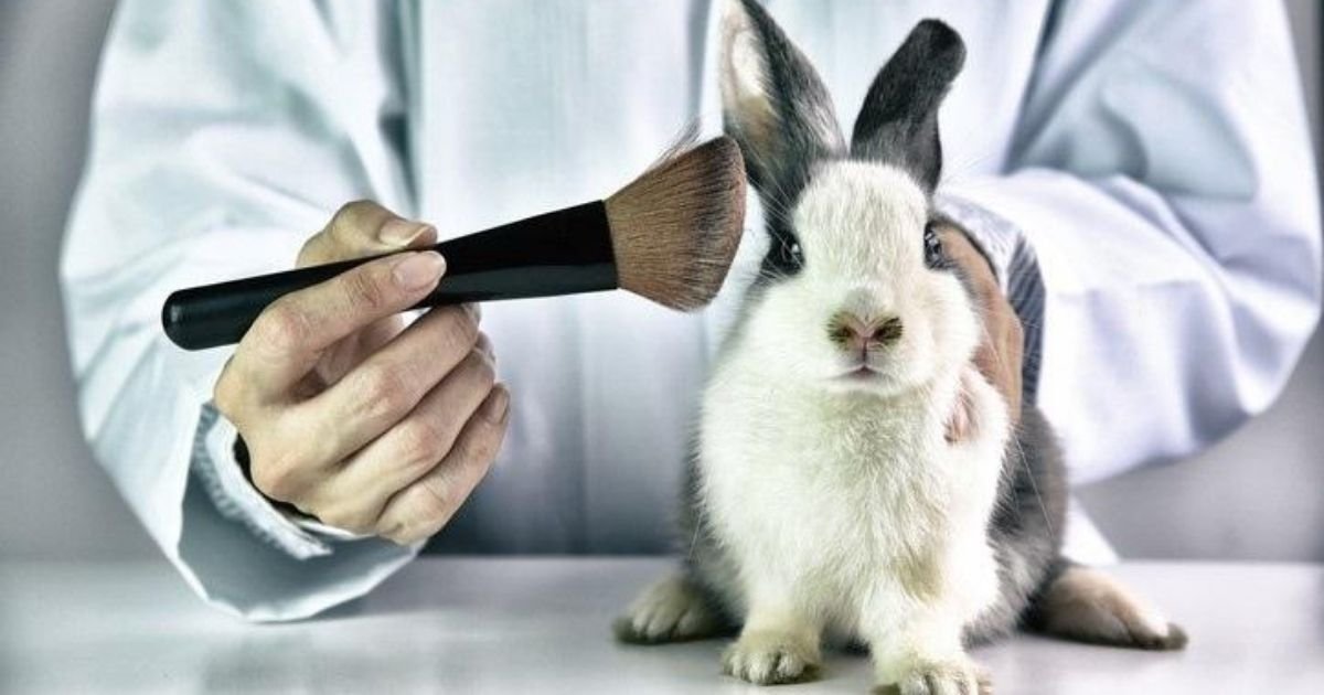 untitled design 40.jpg?resize=412,232 - Officials Rule Chemicals Used In Beauty Products Must Be Tested On Animals