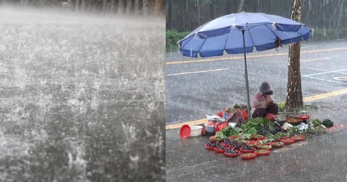 yasai.png?resize=412,232 - 大雨の中でもお金を稼ごうと採れた野菜を販売しているおばあさんが泣ける…！