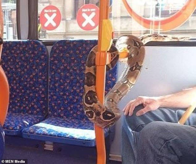 Shocked passengers stared in astonishment as the man removed the snake from around his neck. The reptile then wrapped itself around the hand rails