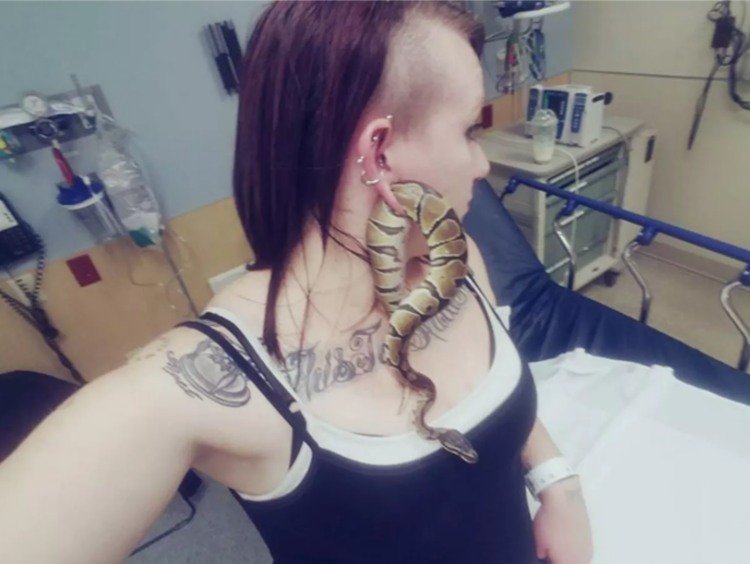 serpiente atascada oreja mujer