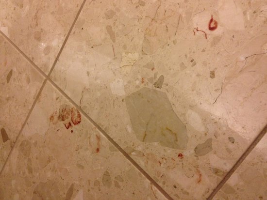 Blood on bathroom floor!!: fotografía de Sheraton Pasadena Hotel - Tripadvisor