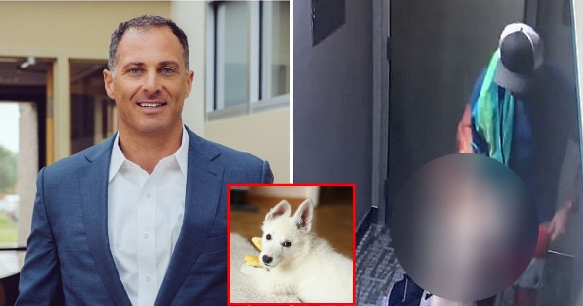 bici.jpg?resize=412,232 - CEO Issued A Lengthy Apology After He Was Caught Attacking A Four-Month-Old Puppy