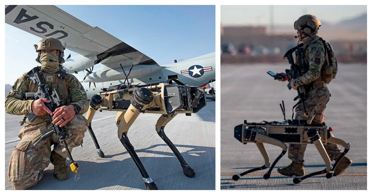 collage 25.jpg?resize=412,275 - US Air Force Experimenting With Robot Dogs In Defending The Bases