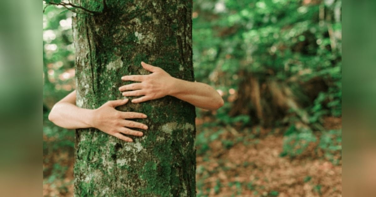 diseno sin titulo 19 5.jpg?resize=412,275 - Mujer Celebra Su Primer Aniversario De Estar Casada Con Un Árbol