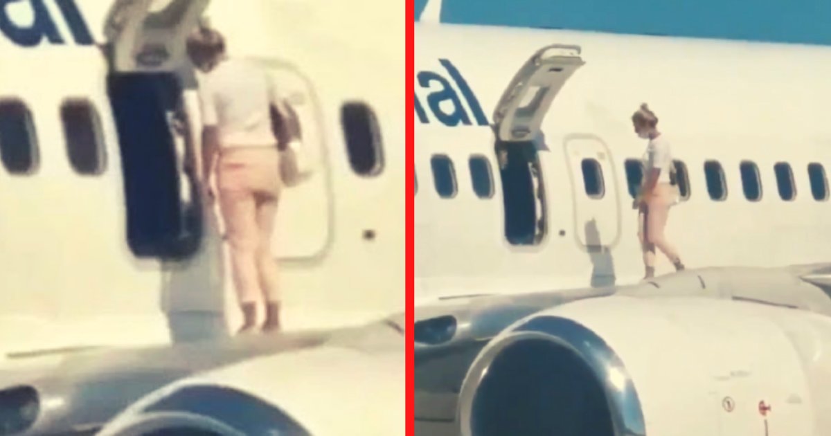 diseno sin titulo 40.png?resize=412,232 - Una Mujer Salió A Caminar Sobre El Ala De Un Avión, Porque Tenía Mucho Calor