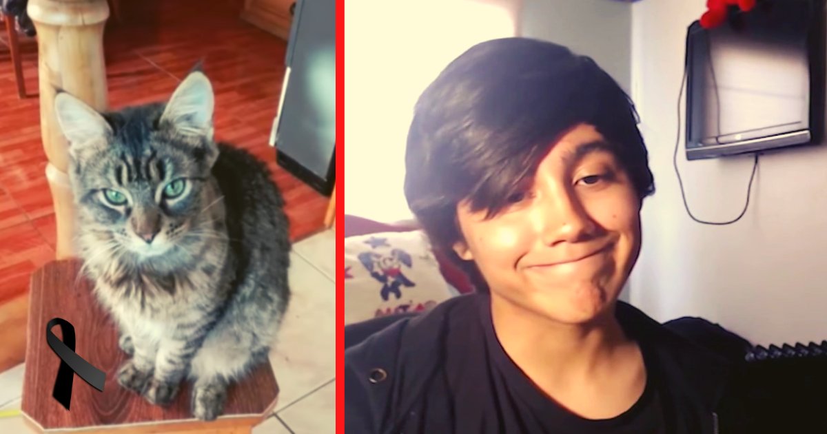 diseno sin titulo 42.png?resize=412,232 - Youtuber De 15 Años Torturó A Su Gato Hasta Dejarlo Sin Vida Y Después Lo Publicó En Redes Sociales