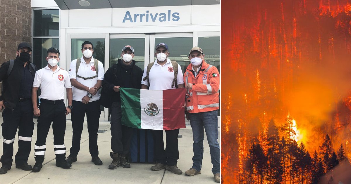 dsgfh.jpg?resize=412,232 - Mexico Has Sent Volunteer Firefighters To Help Fight Oregon Fires