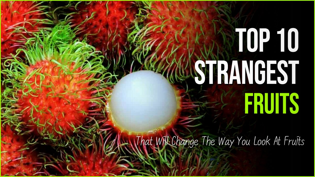 gggggsd.jpg?fit=1024%2C576&ssl=1&strip=all - 10 Strangest Fruits That Will Change The Way You Look At Fruits