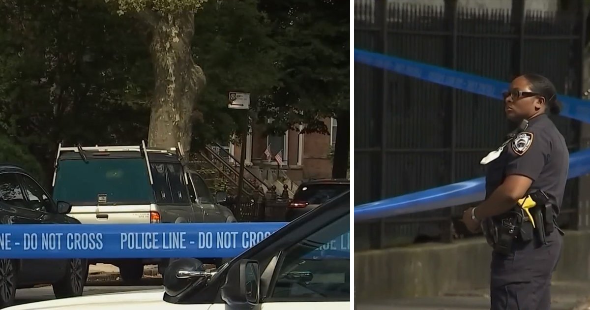 hdgf.jpg?resize=412,232 - NYC Gun Violence: Man Shot To Death While Walking His Dog