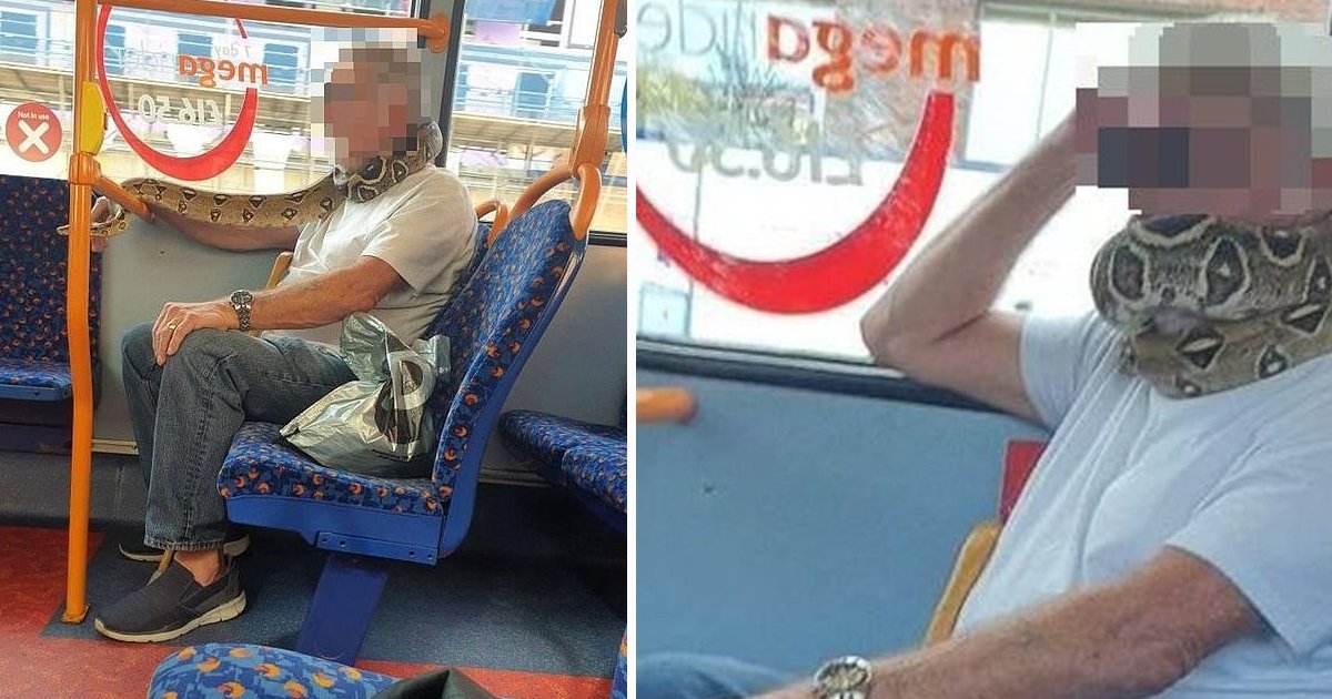 maskk.jpg?resize=412,232 - Salford Man Shocks Passengers by Wrapping Snake Around His Face in Place of a Face Mask