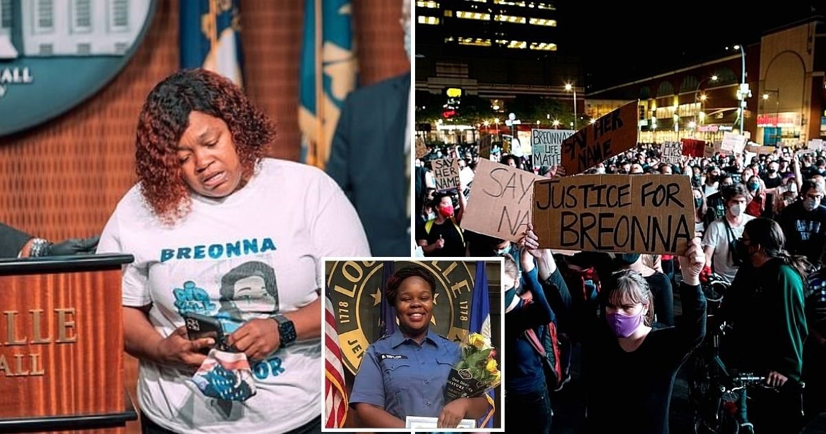 palmer2.jpg?resize=412,275 - Breonna Taylor's Mother Broke Down In Tears When She Was Told Cops Would Not Be Charged With Killing Her Daughter