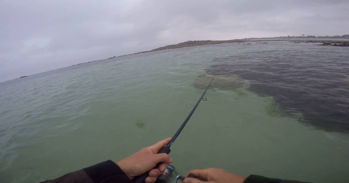 pecheur.jpg?resize=412,275 - Côtes-d'Armor: un poulpe énorme a été pêché dans la baie de Saint-Brieuc