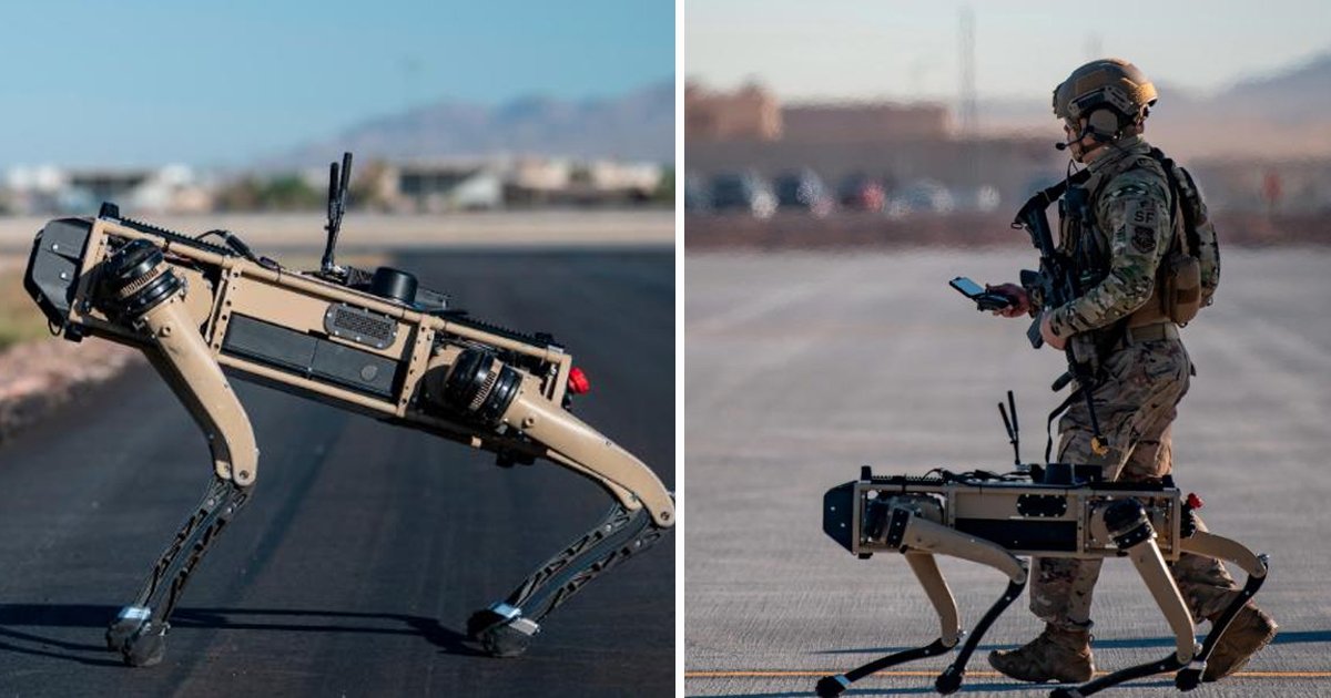 robots.jpg?resize=412,232 - The US Air Force Has Become the First Military Organization to Use Robot Dogs During Combat Exercises