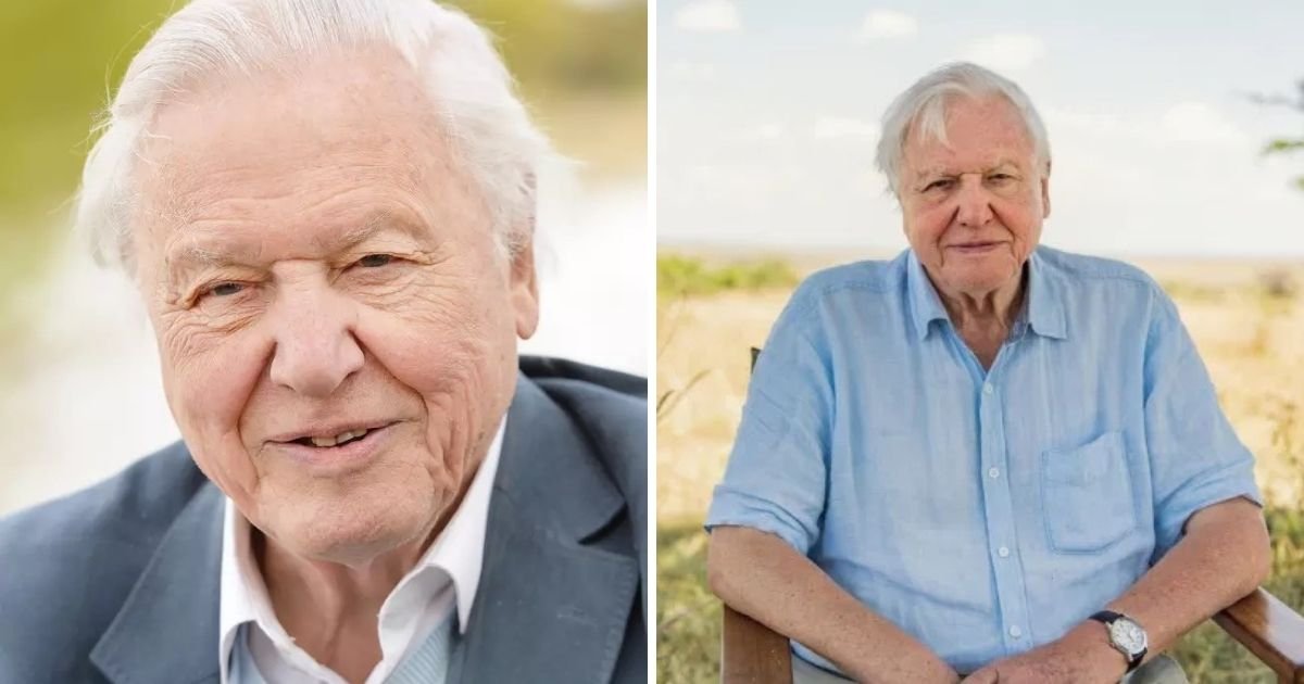 untitled design 3 23.jpg?resize=412,232 - Sir David Attenborough Breaks World Record After Joining Instagram