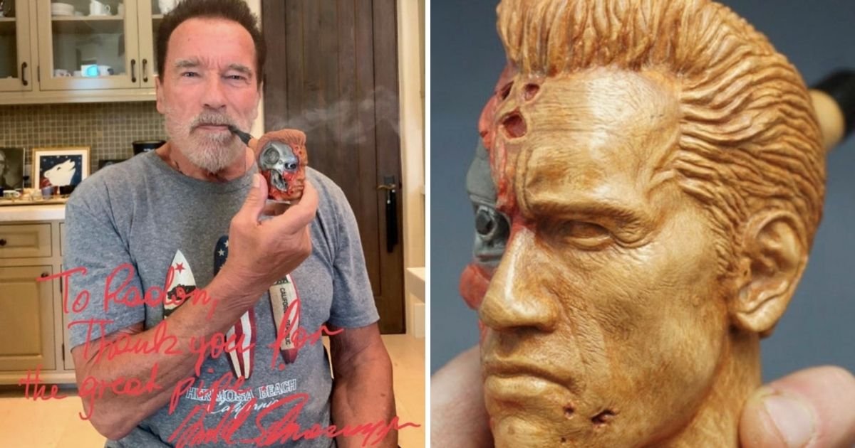 untitled design 6 2.jpg?resize=1200,630 - Arnold Schwarzenegger Receives Custom-Made Gift From Dedicated Fan