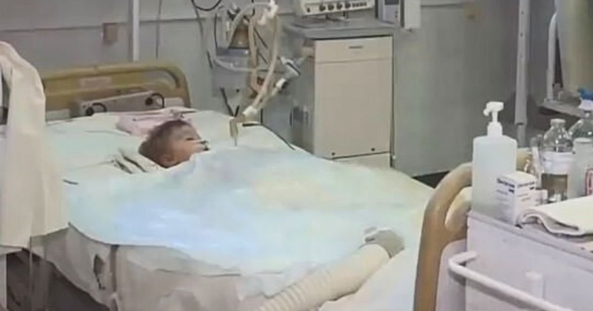 yegor4.jpg?resize=412,232 - Two-Year-Old Boy Passed Away One Week After Dogs Attacked Him As His Parents Celebrated His Birthday