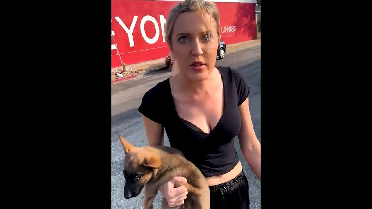 woman throws puppy