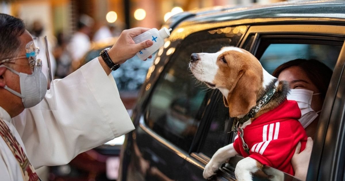 4 25.jpg?resize=412,232 - Priests Blessed Pets With Holy Water In A Socially Distant Drive-Thru Ceremony