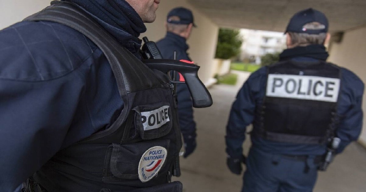 brest.jpg?resize=412,275 - Brest: une jeune femme a été agressée par deux individus alors qu'elle promenait son chien