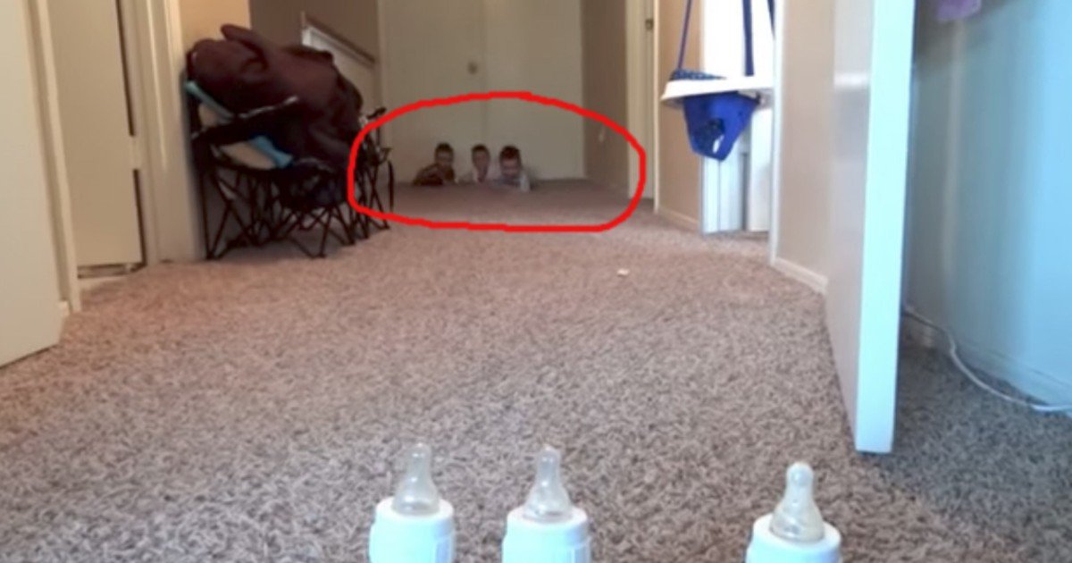 e18486e185aee1848ce185a6 37.jpg?resize=1200,630 - Video: Her Triplets Race for Food. The Footage Goes Viral and Gets Mixed Reactions