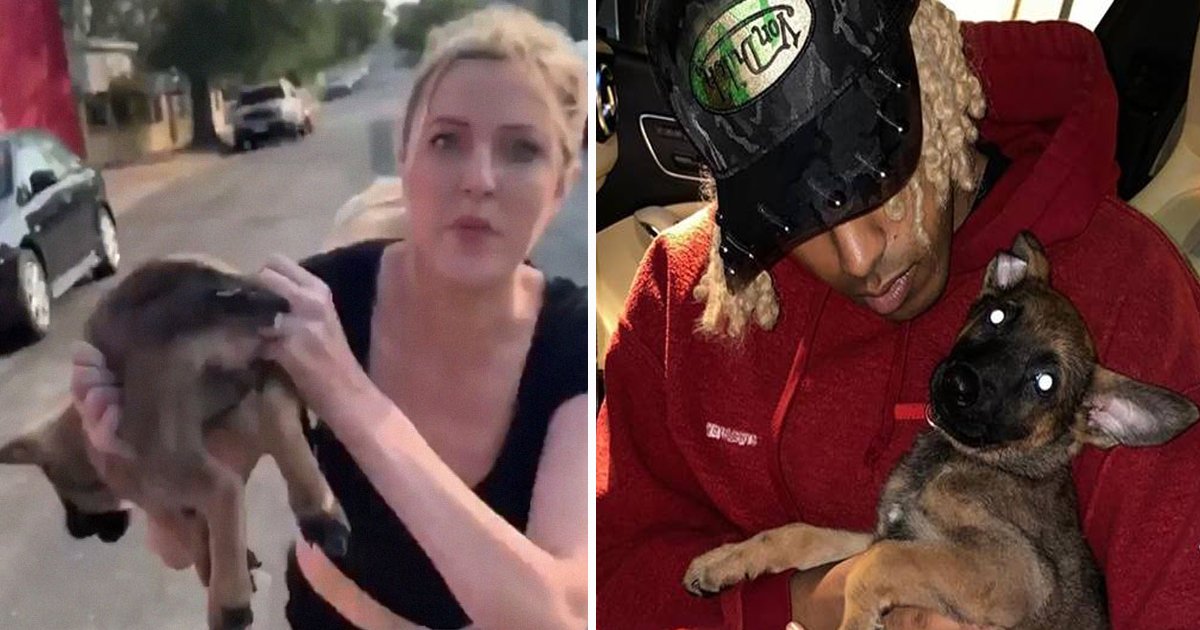 gagda.jpg?resize=412,275 - Black Man Adopts Puppy Thrown At Him During Racially Aggressive Rant