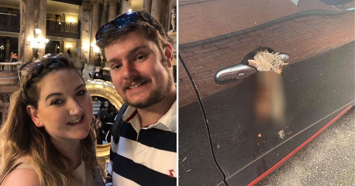 squirrel.jpg?resize=412,275 - Pregnant Woman Left In Tears After Remains Of Squirrel Were Left On Her Car's Door Handle