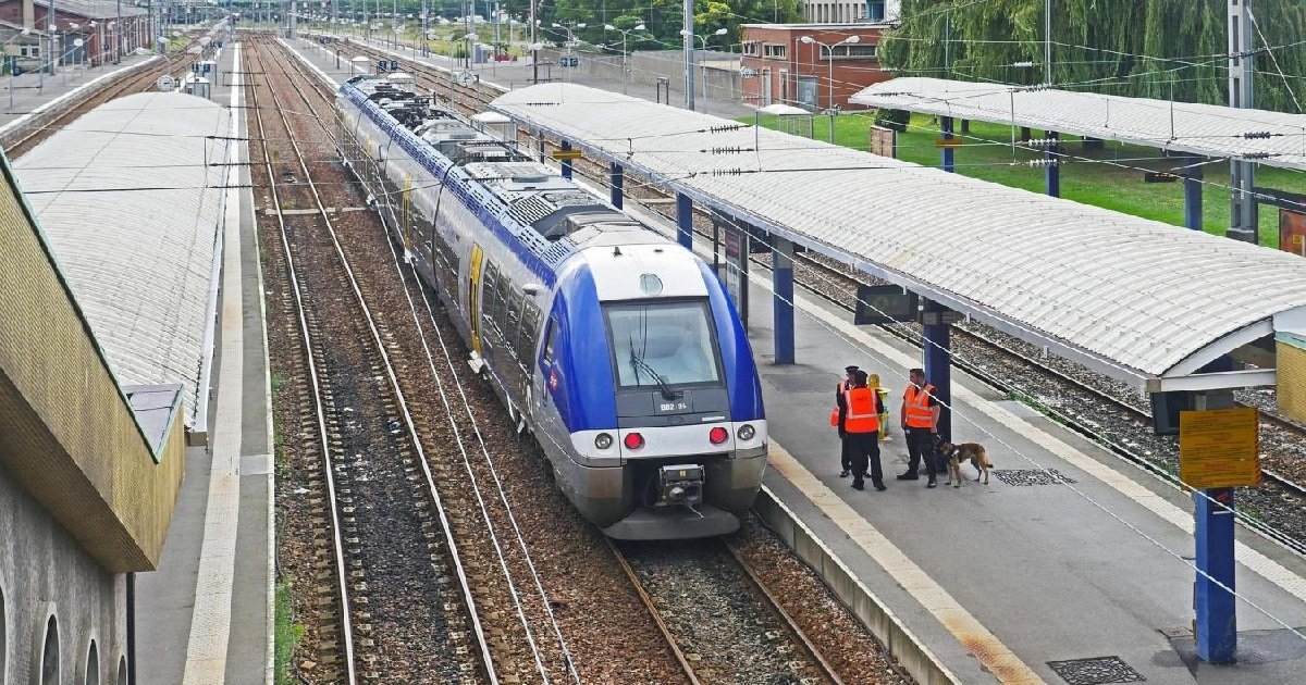 ter.jpg?resize=1200,630 - Un TER a percuté une voiture sur un passage à niveau de Bourg-en-Bresse