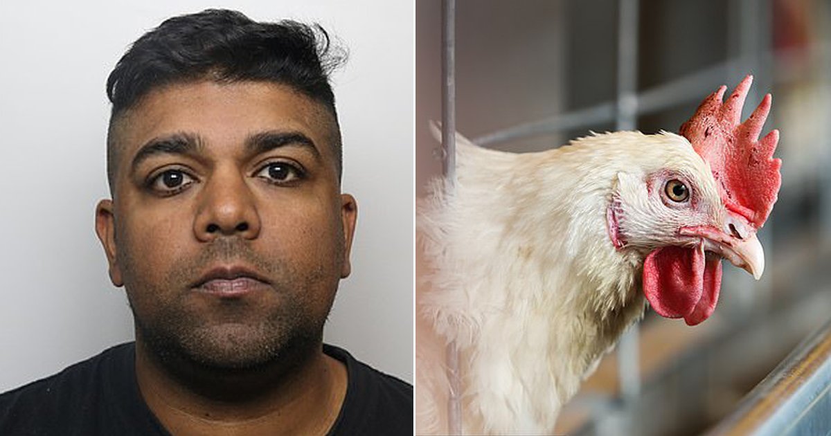 thubnail recovered 8.jpg?resize=1200,630 - 37-Year-Old Pervert Who Was Jailed For Three Years For Abusing Animals Is Allowed To Keep Pets In Future