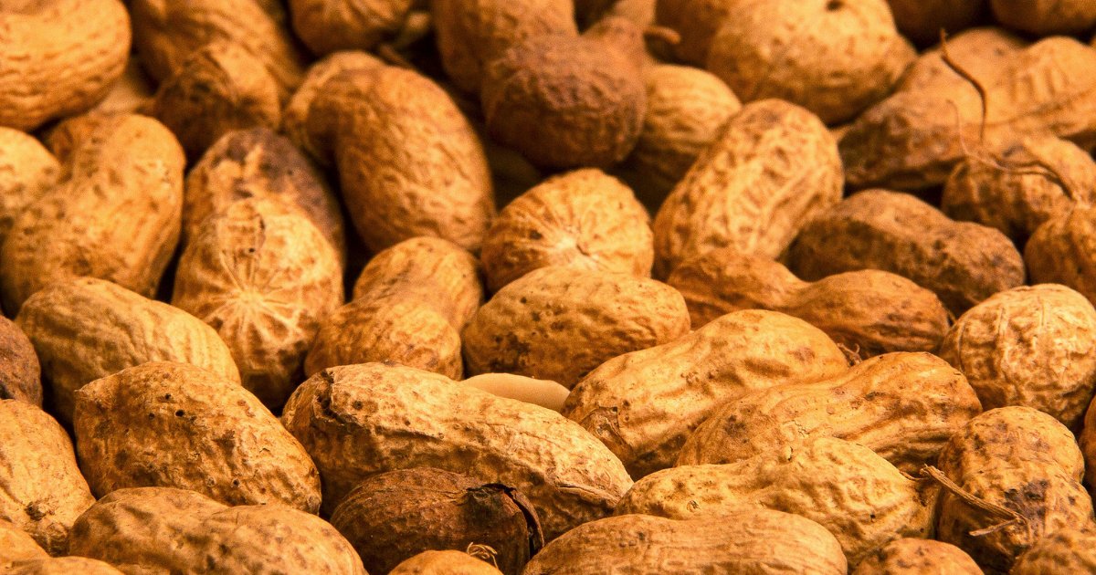 vonjour16 1.png?resize=1200,630 - Manger 10 grammes de cacahuètes quotidiennement pourrait réduire les risques de mortalité