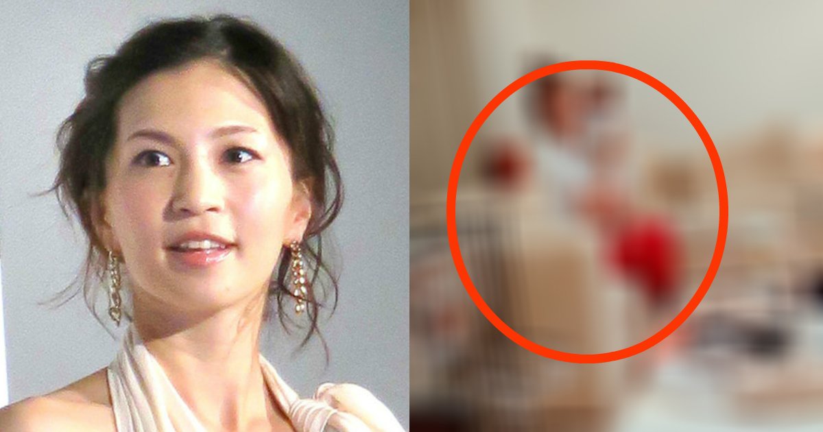 安田美沙子 自宅リビング公開で ネット警察 から批判殺到 犬が可哀想 子供のこと考えてる Hachibachi